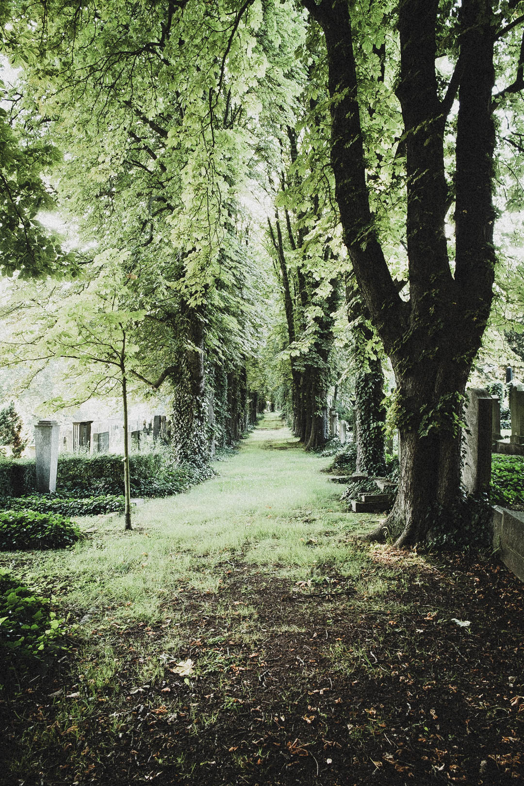 Jüdischer Friedhof Kassel-Bettenhausen